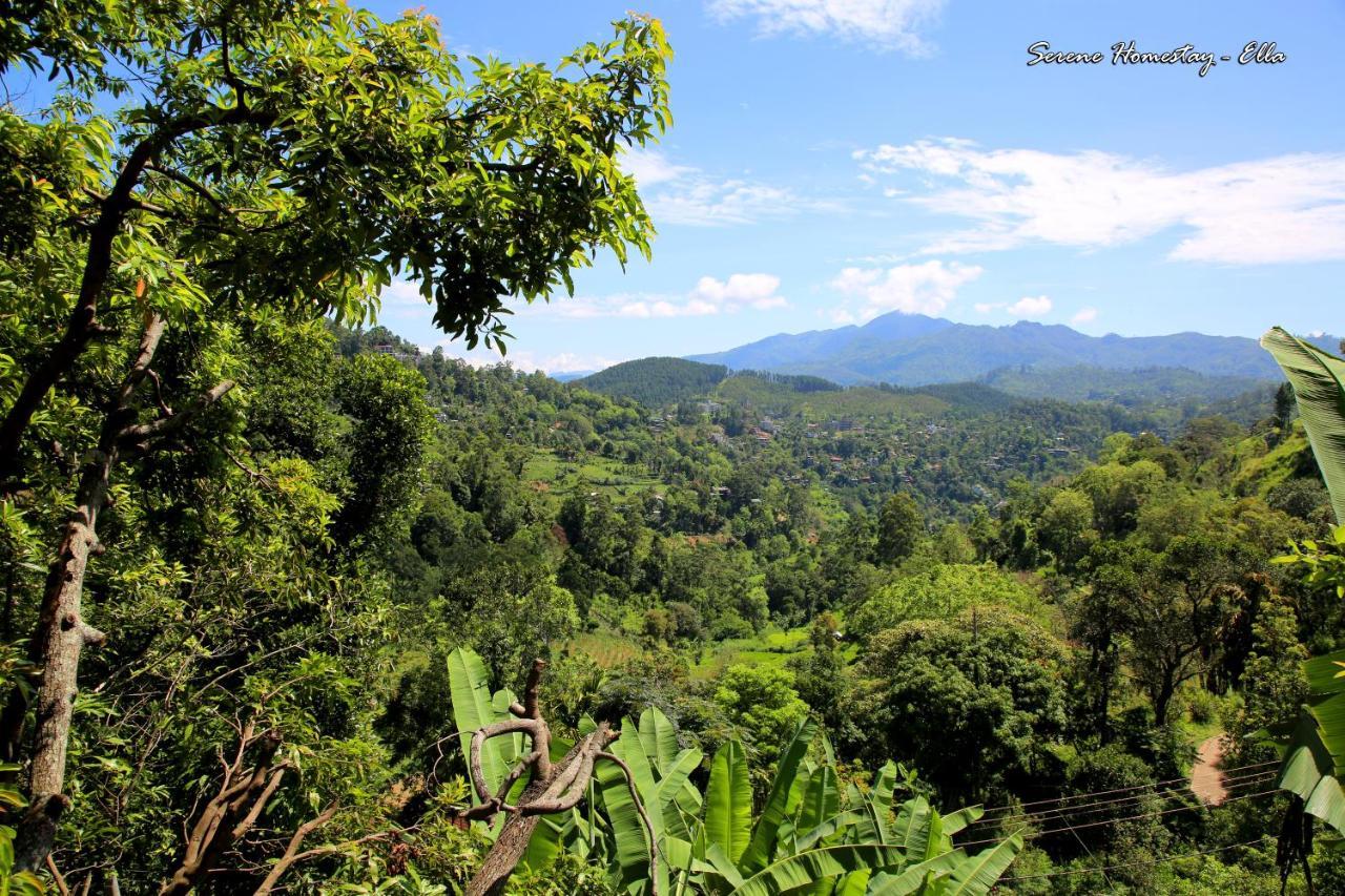 Serene Homestay Ella Exterior foto